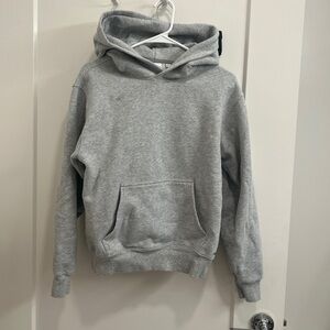 Aritzia Heather Gray Hoodie